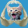 Play free Cat Crunch game