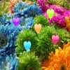 Play free Hidden Hearts game