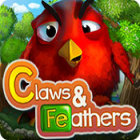 Claws & Feathers Games to Play Free