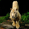 Play free Tigers Puzzles game