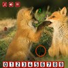 Fox – Hidden Numbers Games to Play Free