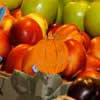 Play free Hidden Pumpkins Market game