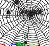 Play free Spider Killer game